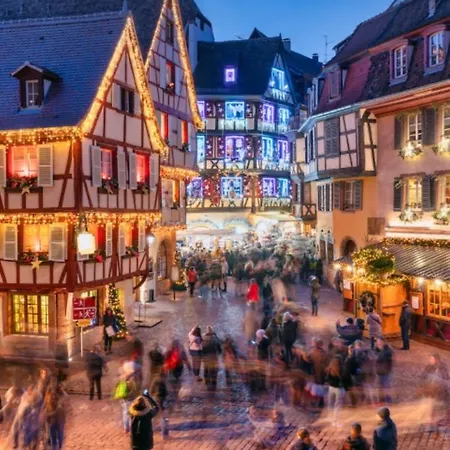 La Casa De Hugo Апартаменты Кольмар